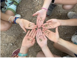 Niños mostrando piedras encontradas durante excursiones escolares en Madrid